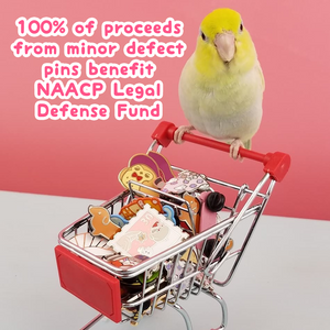 $1100 raised so far for NAACP Legal Defense Fund!